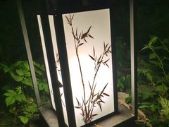-杭州黄龙洞