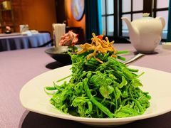 巧拌丝瓜苗-京参園海鲜餐厅