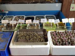 -小城故事·地道宁波味(月湖盛园店)