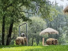 -北京野生动物园