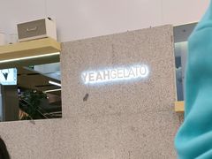 -野人先生现做冰淇淋(北京环宇荟店)