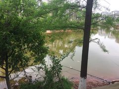 -广州市流溪河国家森林公园