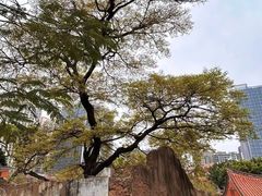 -晋江五店市传统文化旅游区