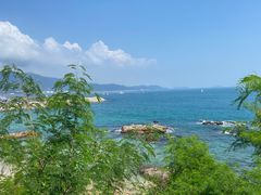 -杨梅坑