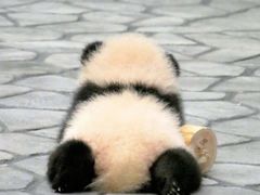 -BOKE博稞烘焙(天佑城店)