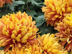 -共青国家森林公园-售票处