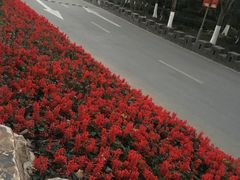 -上海市保健医疗中心