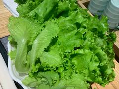 牛奶生菜-鲜货俚鲜火锅(青果路店)