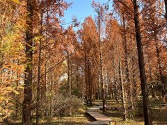 -国家植物园南园