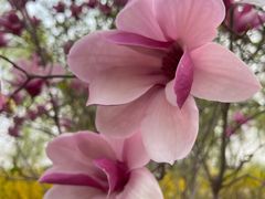 -永定河休闲森林公园