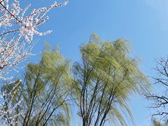 -三里河公园