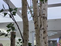 -极简口腔(总院)