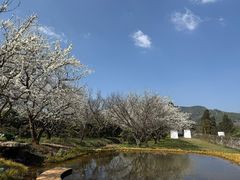 -名花谷生态庄园