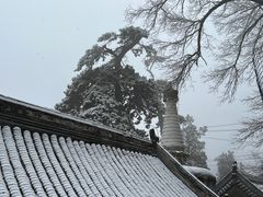 -潭柘寺景区