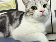 -贝康宠物医院·犬猫全科·小动物特色诊疗中心(东环路店)