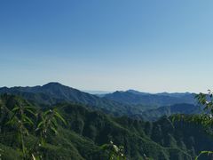 -大岭沟猕猴桃谷风景区