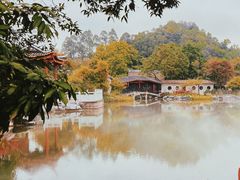 -顺峰山公园