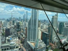 -上海新世界丽笙大酒店旋景餐厅(人民广场店)