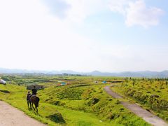 -贵州云顶草原民族风情园