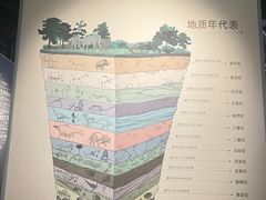-四川大学博物馆