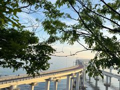 -星海湾跨海大桥