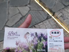 -大塘金香草谷