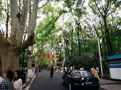 -灵谷景区