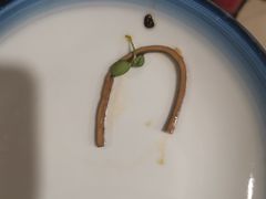 -人民公社大食堂(张家湾店)