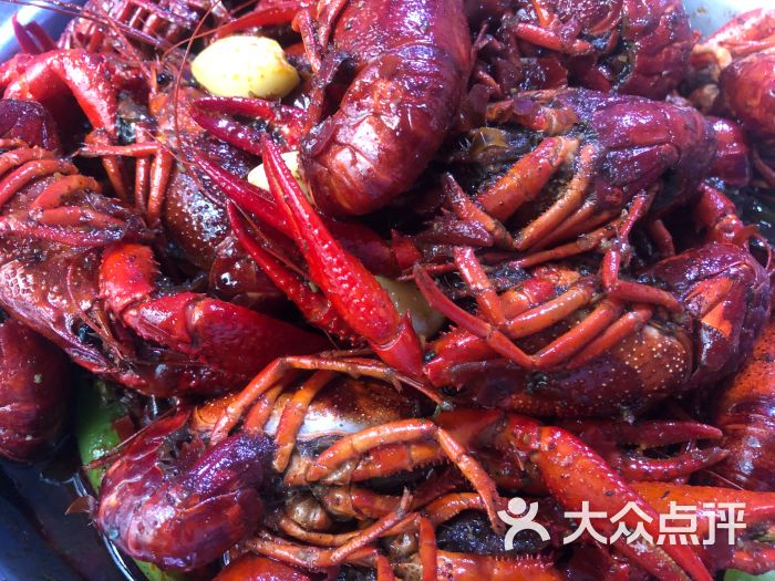 南京红军龙虾图片