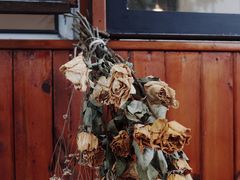 -肥朵食堂(带梦胡同店)