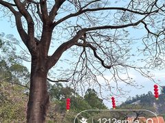 -南沙蒲洲花园