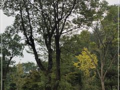 -韶山毛泽东同志故居