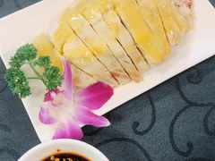 白斩鸡-漕溪人家