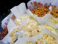 -循礼门鲜花花市(武汉循礼门店)