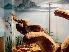 -石家庄市动物园