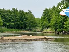 -宁波杭州湾国家湿地公园