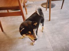 -Dinoo 片场咖啡(酒仙桥店)