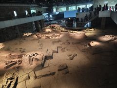 -自贡恐龙博物馆