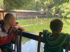 -侨美·唐荔园·40年地道粤菜