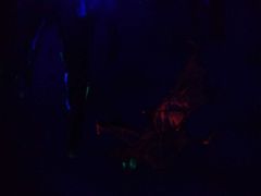 -MOJO密室逃脱(中街旗舰店)