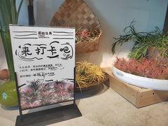 -自由生长植物工作室(深港花卉中心店)