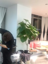 -DX HAIR SALON·发现未知美发沙龙