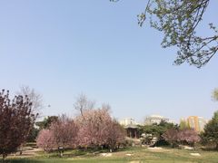 景点-丰台花园