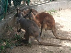 -西安秦岭野生动物园