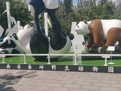 -西安秦岭野生动物园