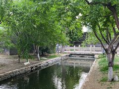 -淮四九宴•老饭骨大师技(前门店)