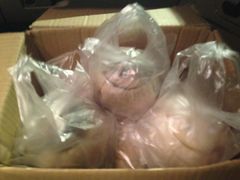 -椰爺爺·椰子冻砵仔糕