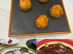 -丁老爷子苏香圆