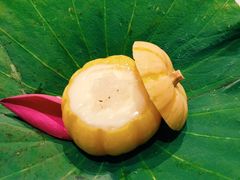 -子福慧(虹桥店)