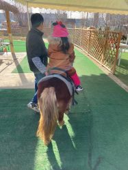 -萌宠亲子动物乐园(槐房万达店)